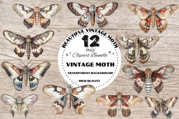 Download Beautiful Vintage Moth - Vintage Collection