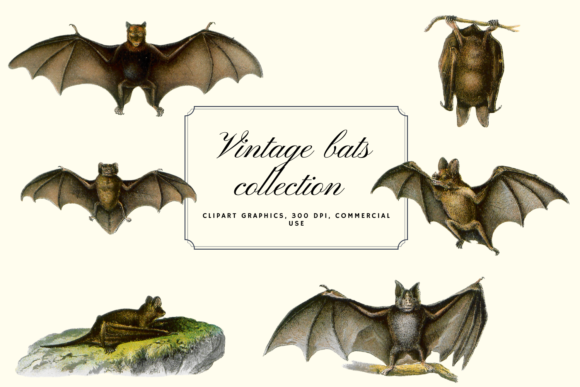 Download Vintage Bats Collection, Creepy Graphics - Vintage Collection